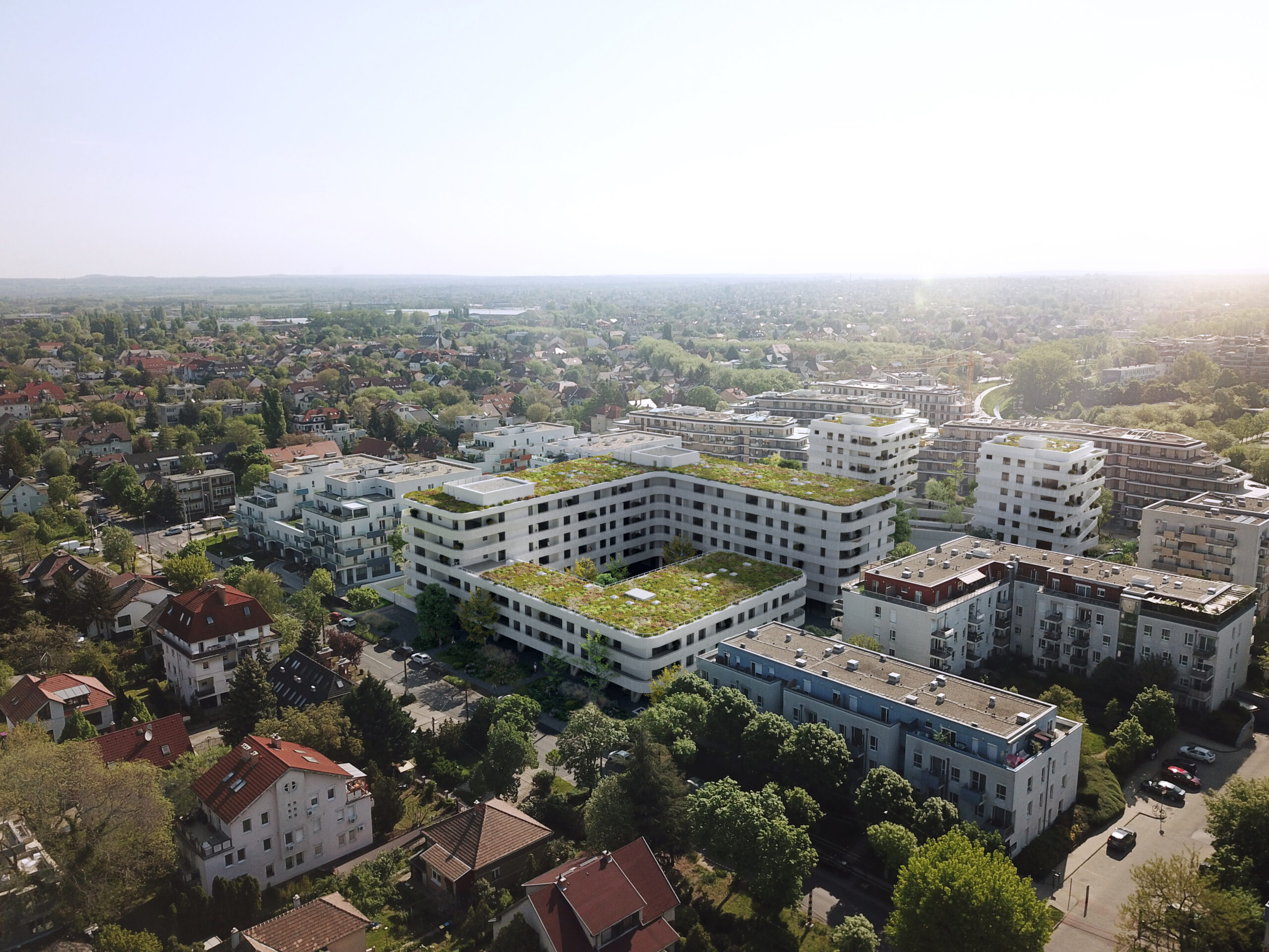 0684_soos_zooglow_70